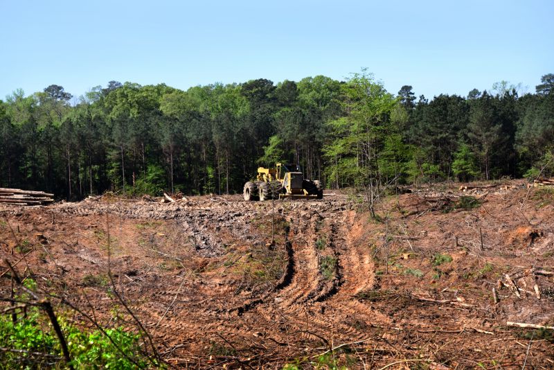 Construction Site Land Clearing in Atlanta, GA